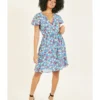 Mela Blue Floral A-line Dress