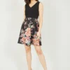 Mela Two Tone V Neck Floral Skater Dress